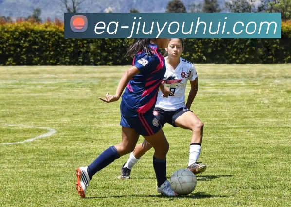 九游会J9官网平台生态图